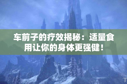 车前子的疗效揭秘：适量食用让你的身体更强健！