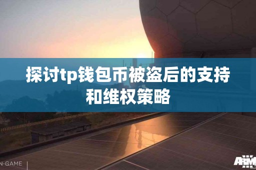 探讨tp钱包币被盗后的支持和维权策略