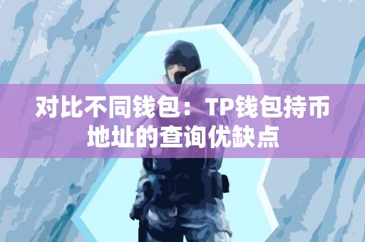 对比不同钱包：TP钱包持币地址的查询优缺点