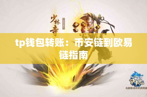 tp钱包转账：币安链到欧易链指南