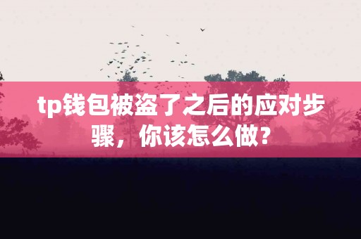 tp钱包被盗了之后的应对步骤，你该怎么做？