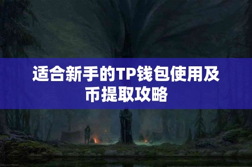 适合新手的TP钱包使用及币提取攻略