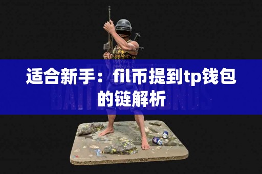 适合新手：fil币提到tp钱包的链解析