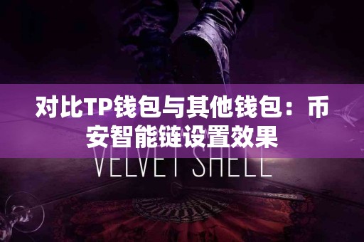 对比TP钱包与其他钱包：币安智能链设置效果