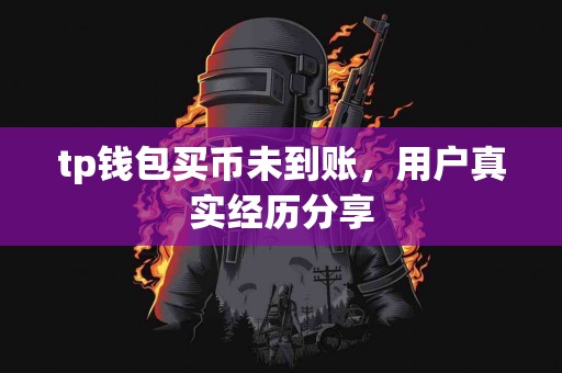 tp钱包买币未到账，用户真实经历分享