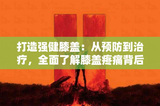 打造强健膝盖：从预防到治疗，全面了解膝盖疼痛背后的秘密