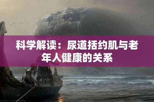 科学解读：尿道括约肌与老年人健康的关系