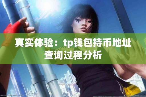 真实体验：tp钱包持币地址查询过程分析