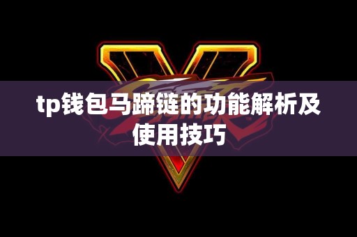 tp钱包马蹄链的功能解析及使用技巧