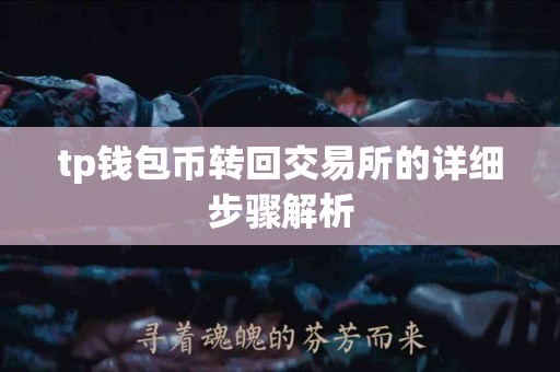 tp钱包币转回交易所的详细步骤解析