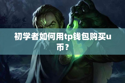 初学者如何用tp钱包购买u币？