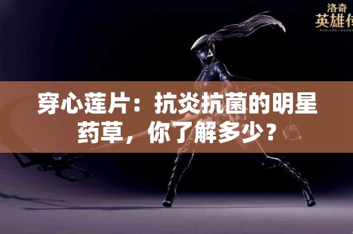 穿心莲片：抗炎抗菌的明星药草，你了解多少？