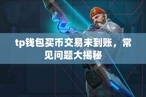 tp钱包买币交易未到账，常见问题大揭秘