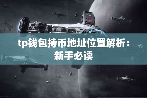 tp钱包持币地址位置解析：新手必读