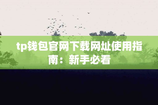 tp钱包官网下载网址使用指南：新手必看