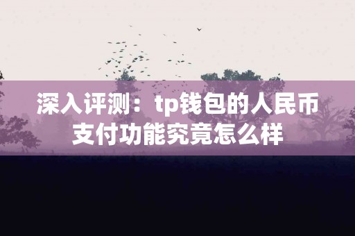 深入评测：tp钱包的人民币支付功能究竟怎么样