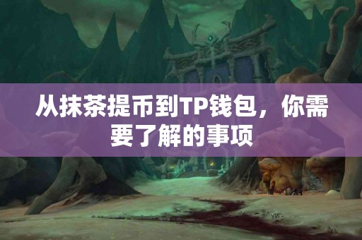 从抹茶提币到TP钱包，你需要了解的事项