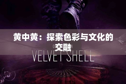 我在TP钱包买币的真实体验与建议