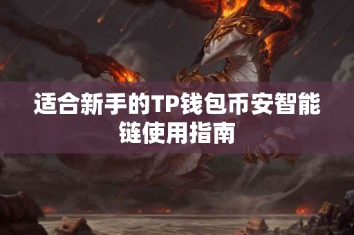 适合新手的TP钱包币安智能链使用指南