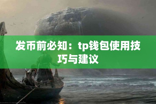 发币前必知：tp钱包使用技巧与建议