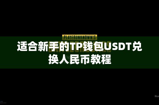 适合新手的TP钱包USDT兑换人民币教程