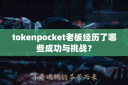 tokenpocket老板经历了哪些成功与挑战？