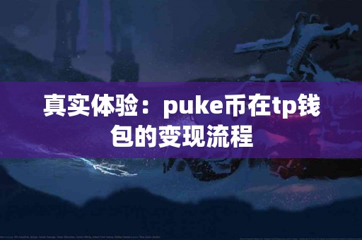 真实体验：puke币在tp钱包的变现流程