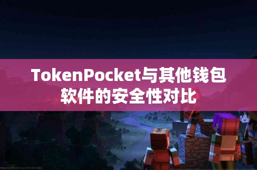 TokenPocket与其他钱包软件的安全性对比
