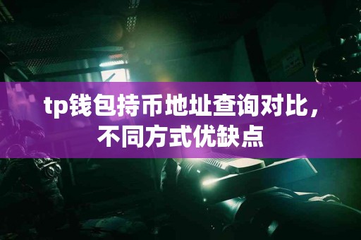 tp钱包持币地址查询对比，不同方式优缺点