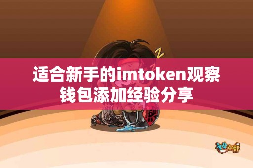 适合新手的imtoken观察钱包添加经验分享