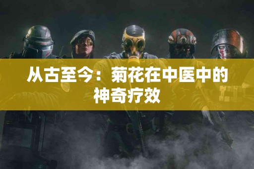 从古至今：菊花在中医中的神奇疗效