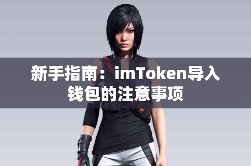 新手指南：imToken导入钱包的注意事项