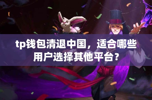 tp钱包清退中国，适合哪些用户选择其他平台？