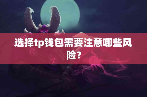 选择tp钱包需要注意哪些风险？
