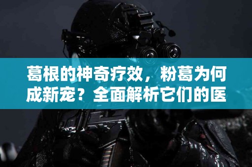 葛根的神奇疗效，粉葛为何成新宠？全面解析它们的医学价值