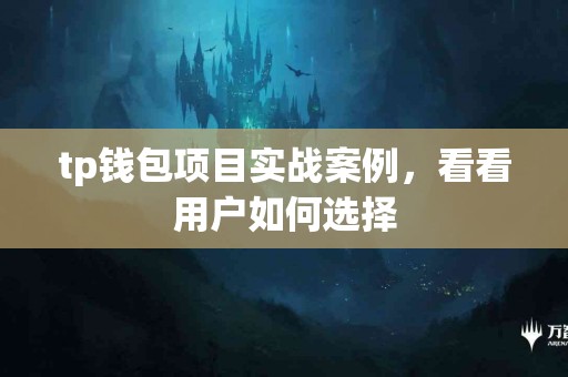 tp钱包项目实战案例，看看用户如何选择