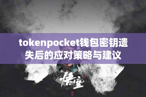 tokenpocket钱包密钥遗失后的应对策略与建议