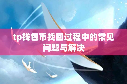 tp钱包币找回过程中的常见问题与解决