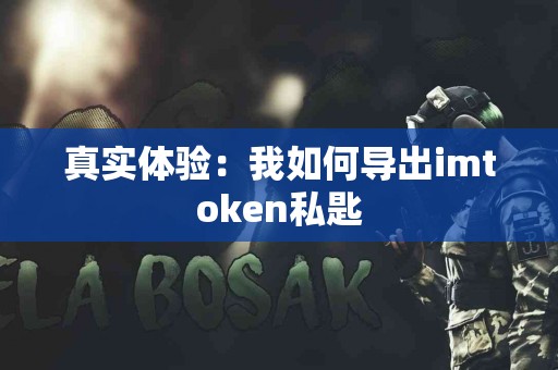 真实体验：我如何导出imtoken私匙
