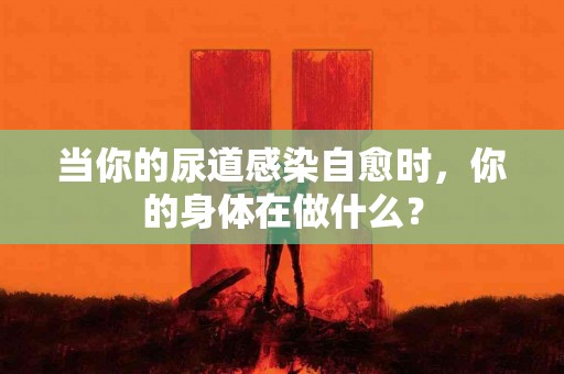 当你的尿道感染自愈时，你的身体在做什么？