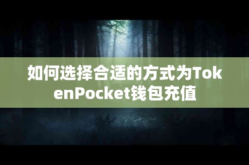 如何选择合适的方式为TokenPocket钱包充值