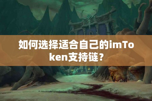 如何选择适合自己的imToken支持链？