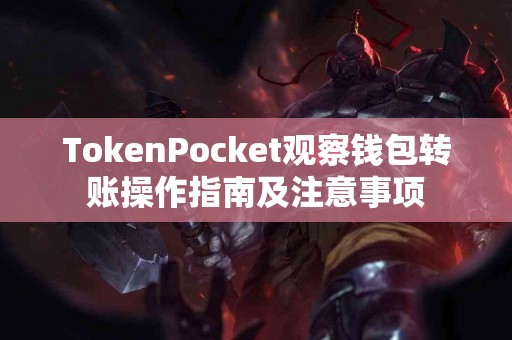 TokenPocket观察钱包转账操作指南及注意事项