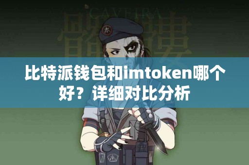 比特派钱包和imtoken哪个好？详细对比分析