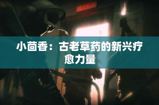 小茴香：古老草药的新兴疗愈力量