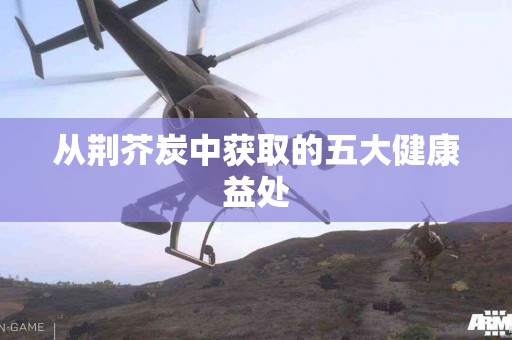 从荆芥炭中获取的五大健康益处