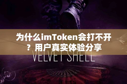 为什么imToken会打不开？用户真实体验分享