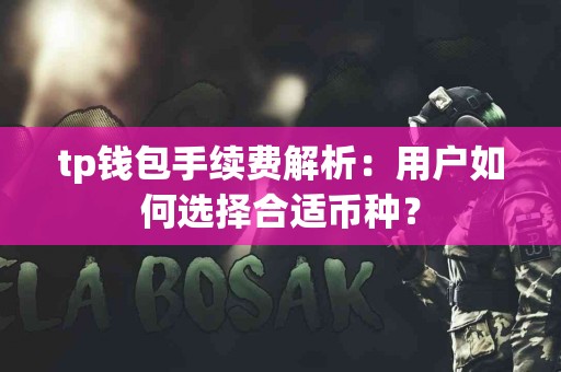 tp钱包手续费解析：用户如何选择合适币种？