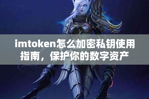 imtoken怎么加密私钥使用指南，保护你的数字资产