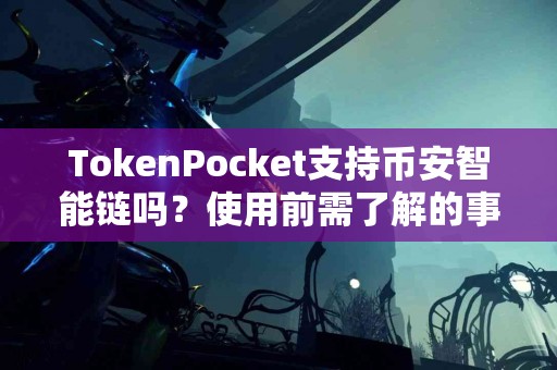 TokenPocket支持币安智能链吗？使用前需了解的事